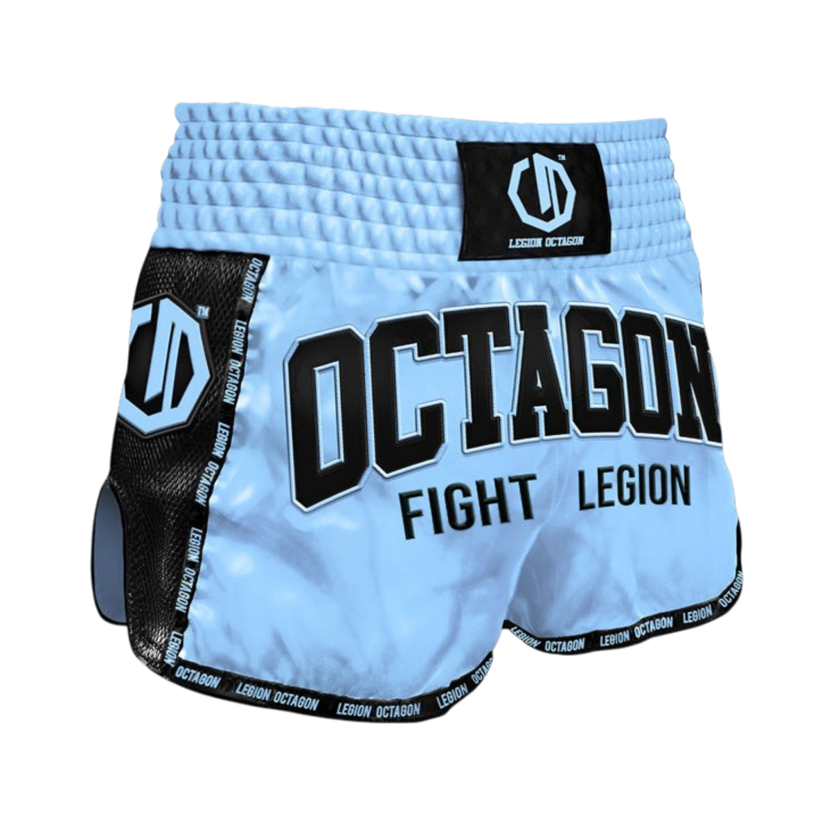 Legion Octagon Fight Legion PREMIUM Muay-Thai-Shorts – Sky Blue