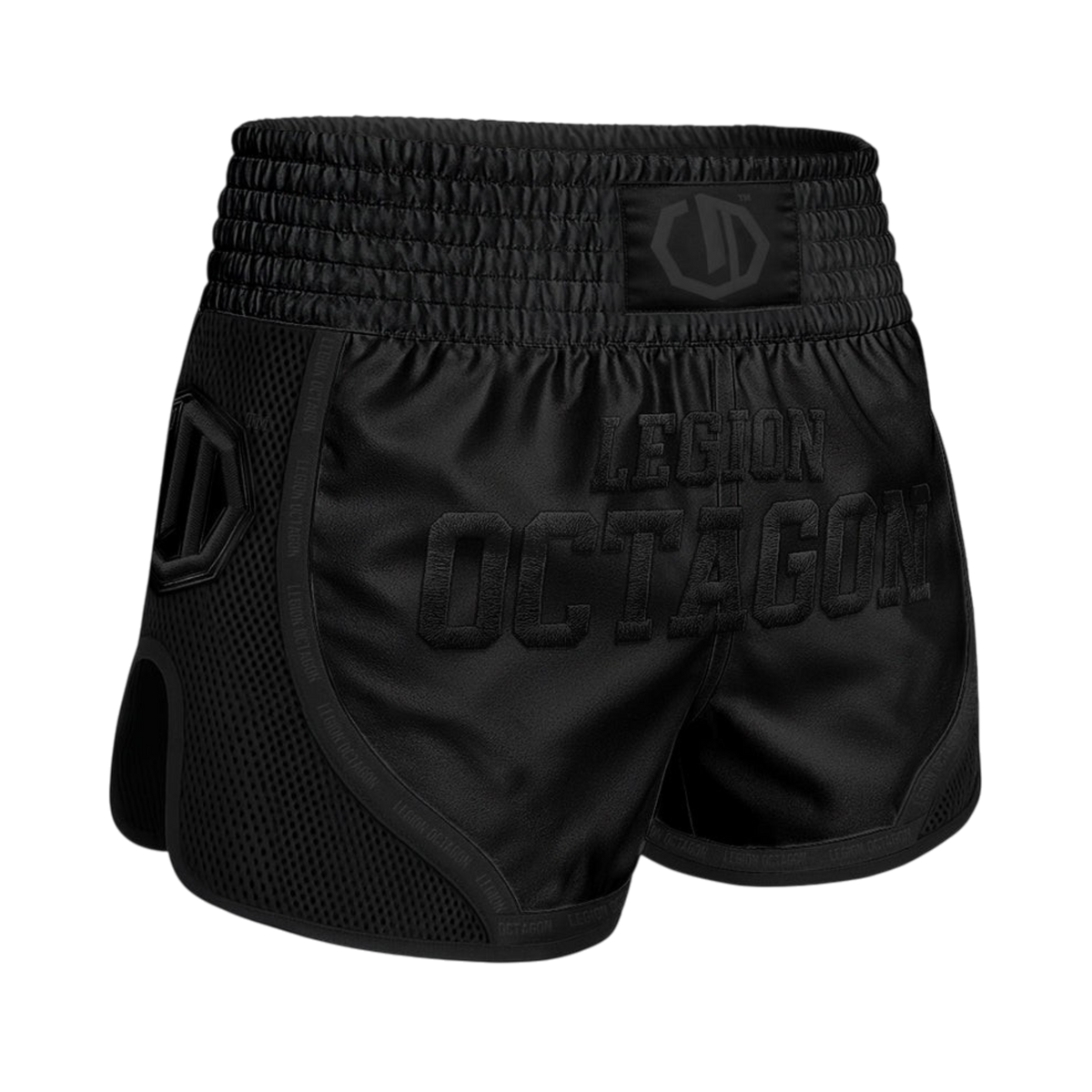 Legion Octagon Mesh PREMIUM Muay-Thai-Shorts – Black/Black