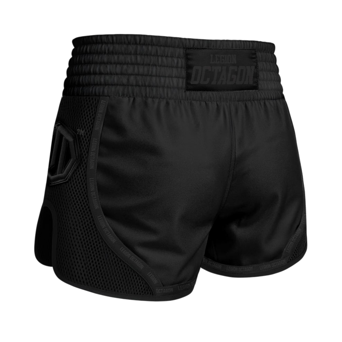 Legion Octagon Mesh PREMIUM Muay-Thai-Shorts – Black/Black